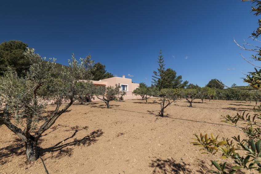 VILLA MIQUELA EN CALA BOIX - foto 39