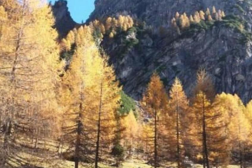 Charmantes Ferienhaus mit Whirlpool - foto 34