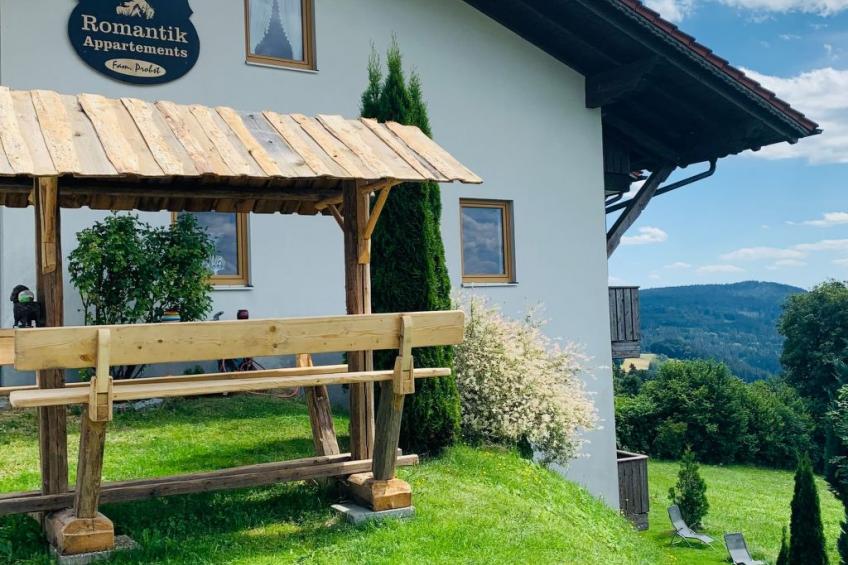 Wohnungen in Traumlage bei Sankt Englmar - foto 9