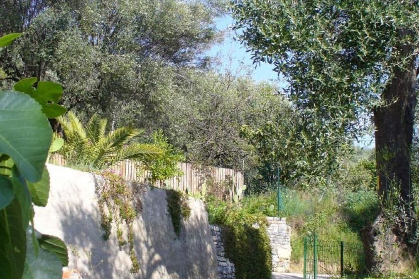 Appartement in Pisciotta mit Grill - foto 41