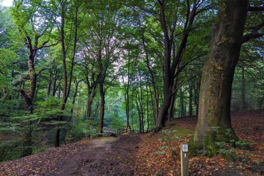 Vakantie bij Meeussen - Molendal 4 - foto 40