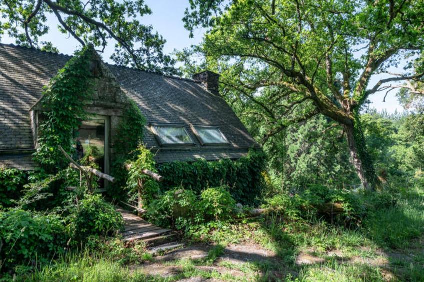 Maison à Rochefort-en-Terre - foto 25