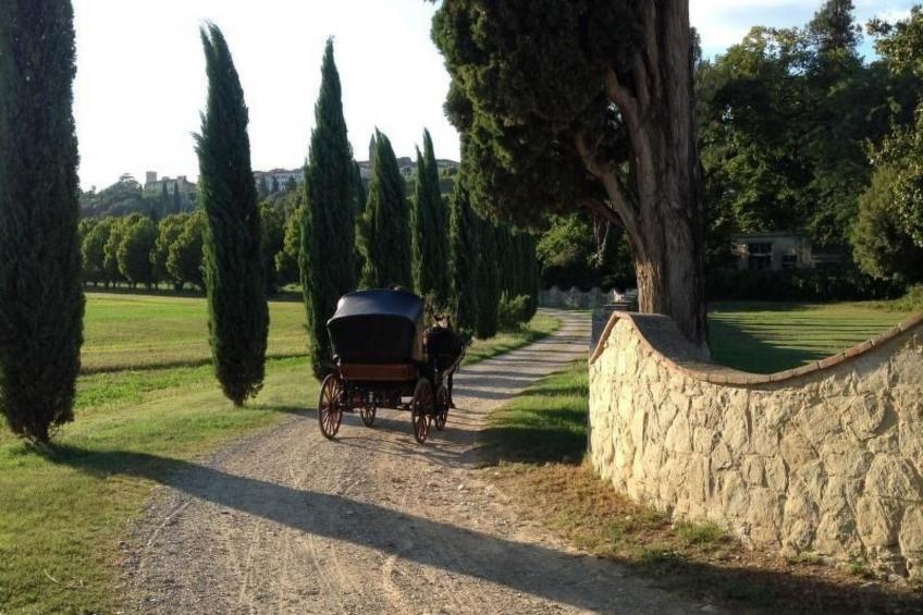 Behindertengerechtes Drei-Zimmer-Appartement, Typ E - foto 5