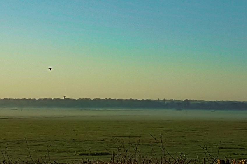 Le domaine des roseraies, Unterkunft Maupassant - foto 35