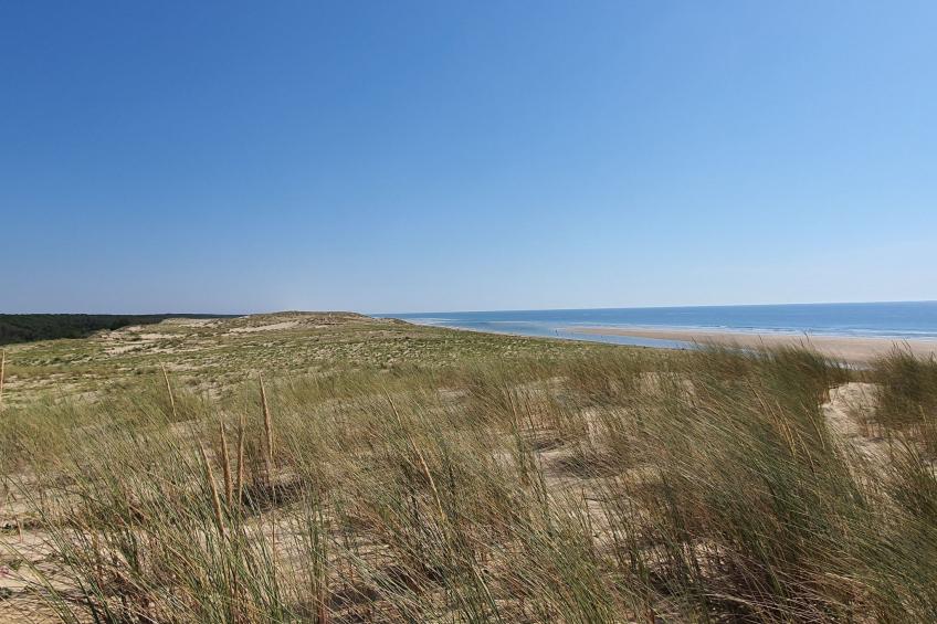 Villa contis plage 900m vom Ozean entfernt - 3 Schlafzimmer - foto 22