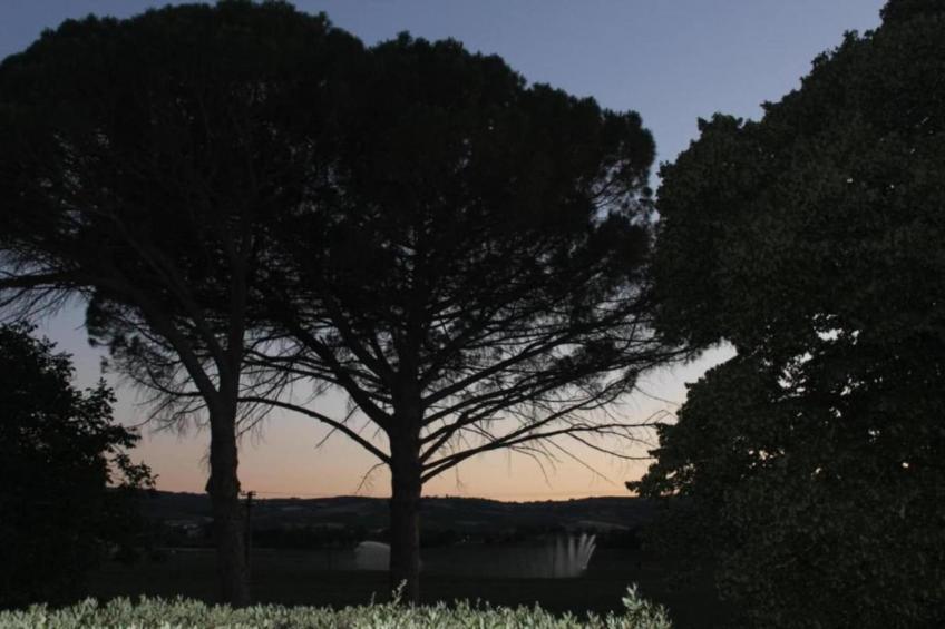 De Vrije Vogel - foto 37