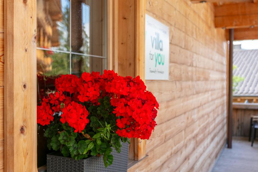 Haus Fernwald Top Tim und Nynke - foto 37