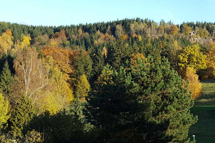 Komfortwohnung - foto 23