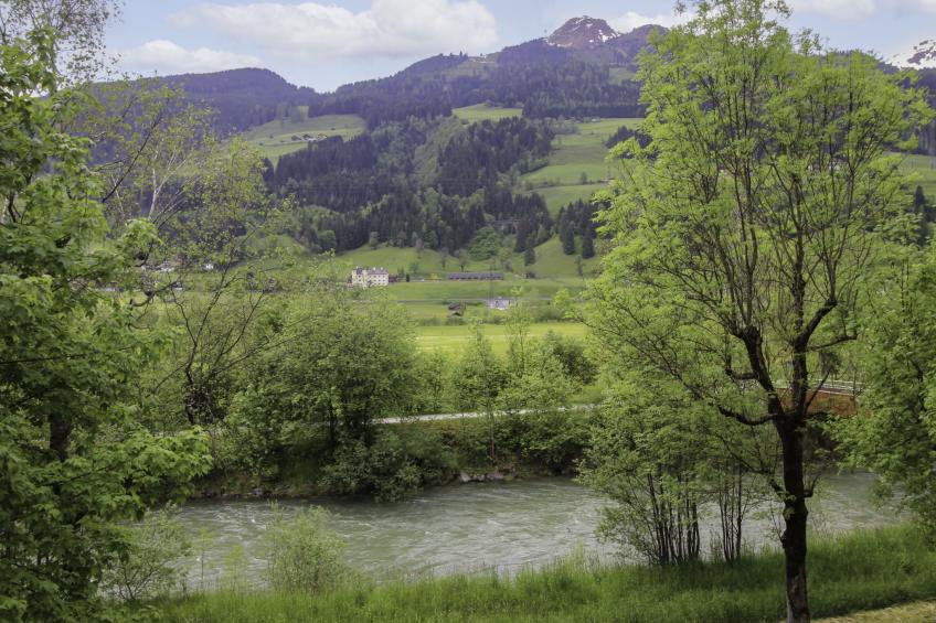 Alexander-Moser - foto 9