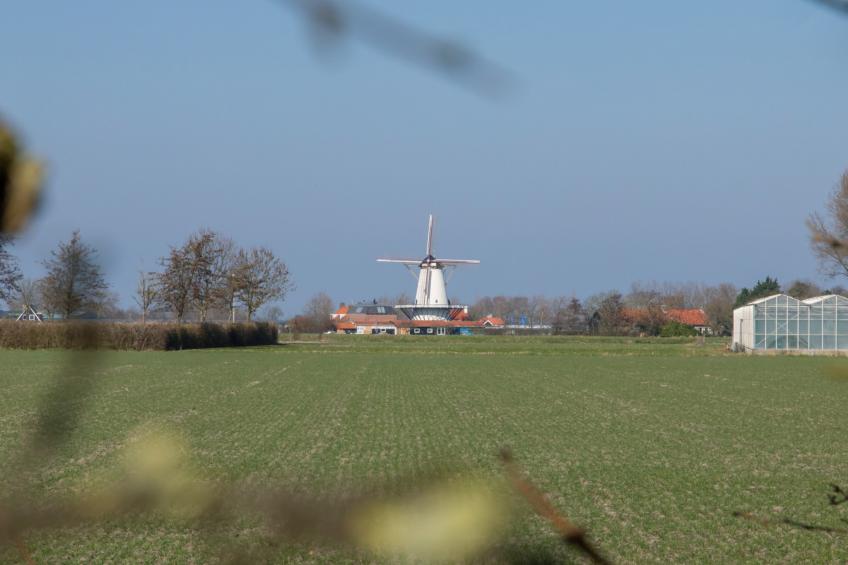 Verkorte Groeneweg 2 - foto 19