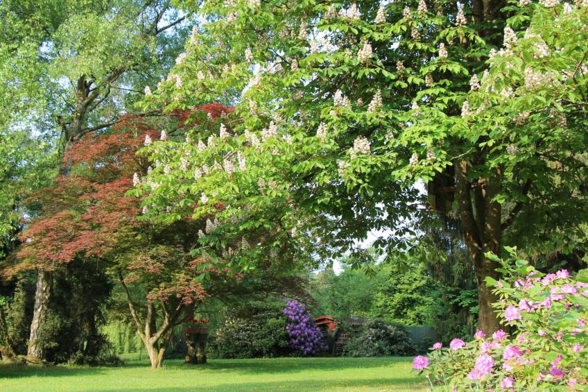 Ferienvilla mit eigener Sauna - foto 28