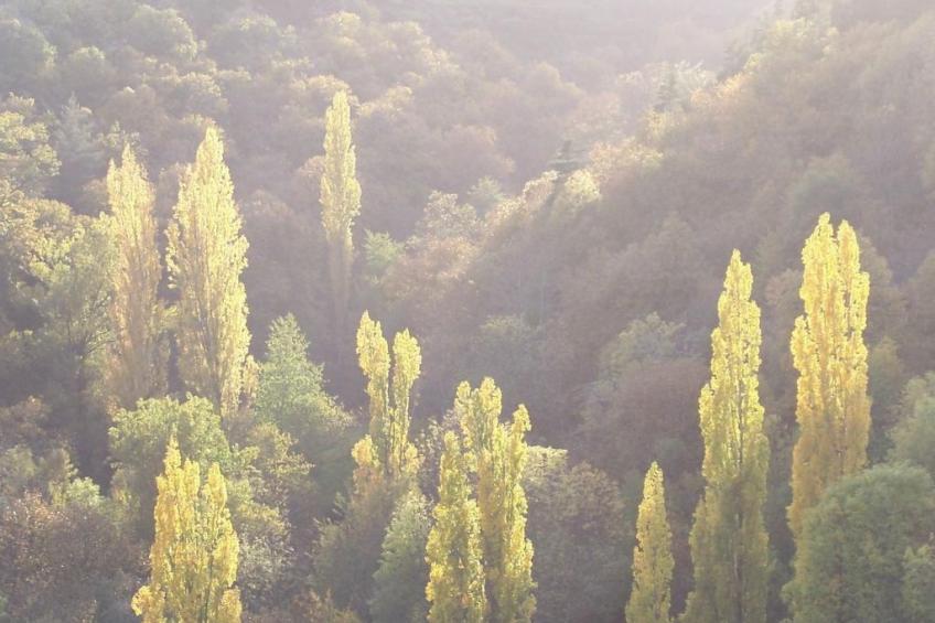 Gîte de Chapelèche Les Genêts - foto 18