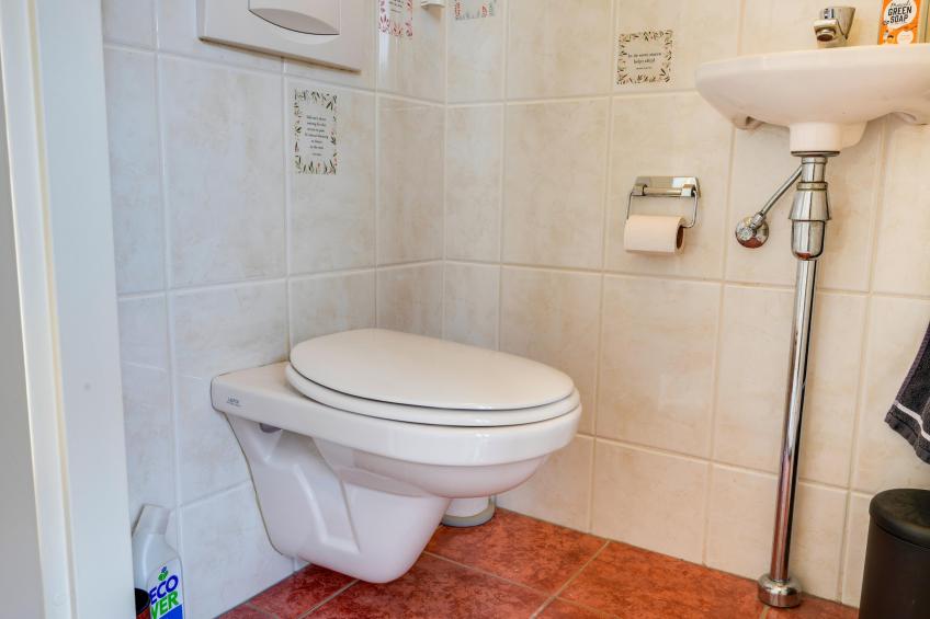 De Zilvermeeuw - foto 28