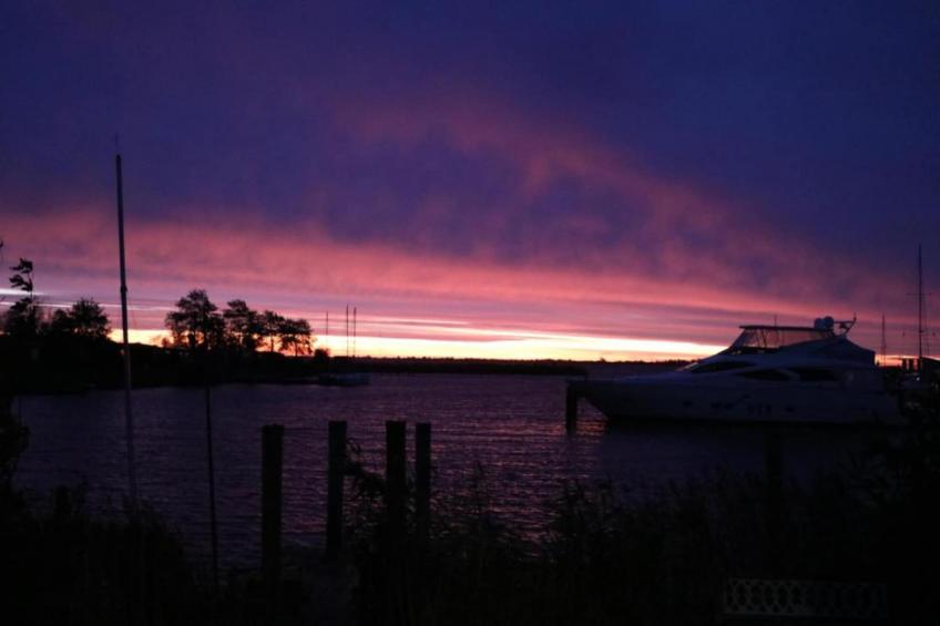 De Scholekster - foto 30