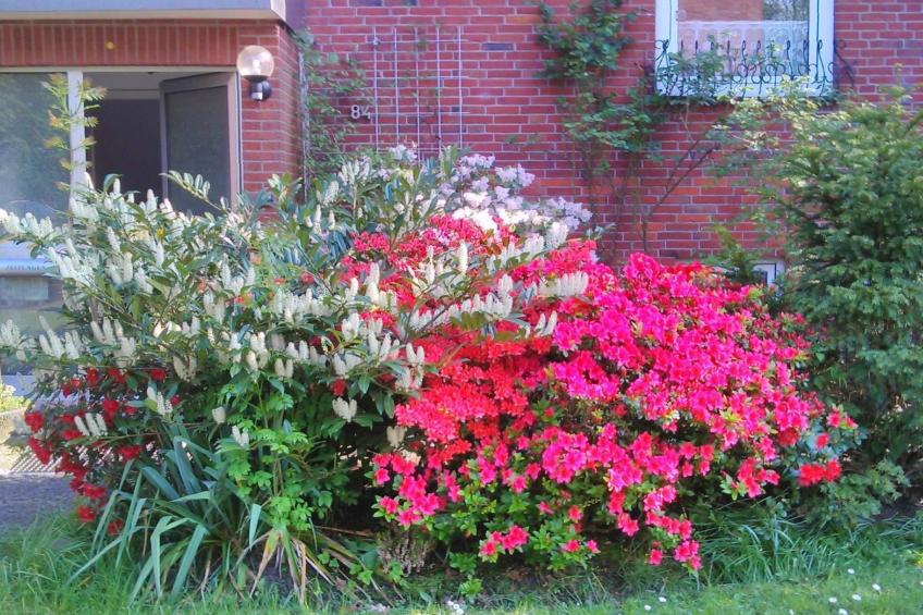 Wohnung in Altengroden mit Garten - foto 21