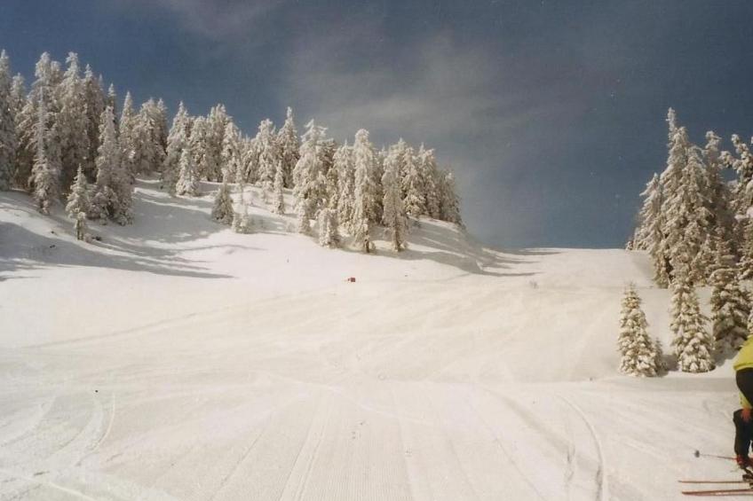 Guglhütte - foto 14