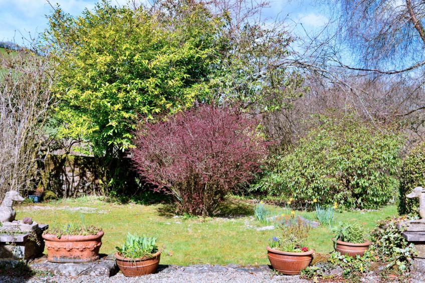 Cwmfron House - foto 6