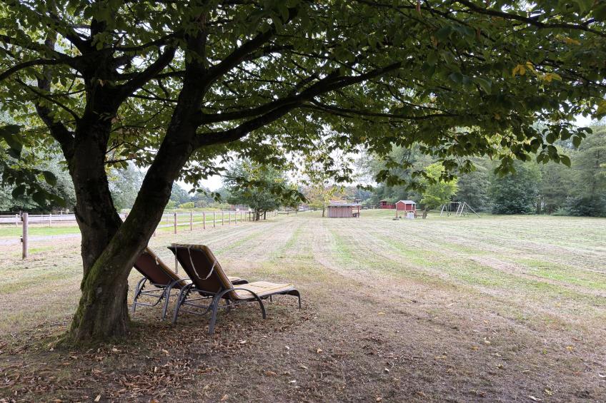 Lüneburger Heide - foto 21