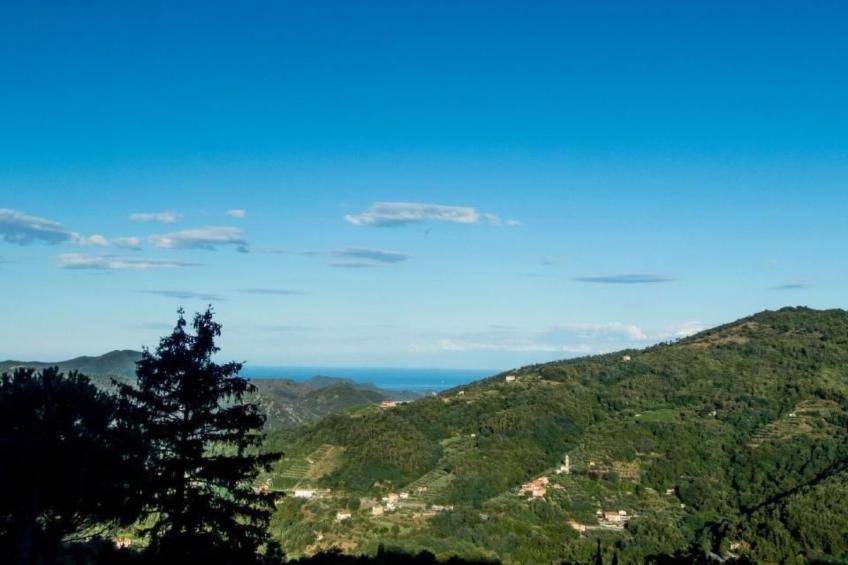 Unabhaengige Wohnung in Velva mit Garten und Grill - foto 34