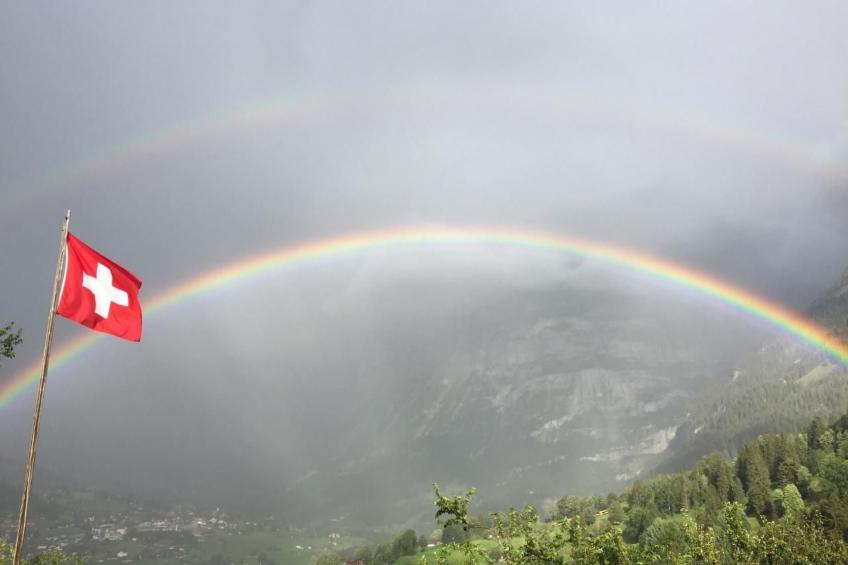 Chalet am Bühl - foto 51