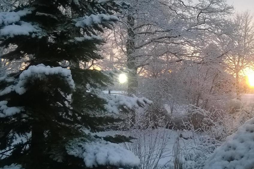 Zentrale Ferienwohnung mit Terrasse - foto 24