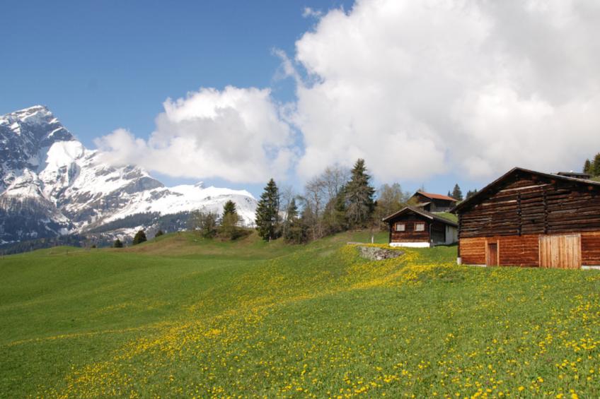 Maiensäss Casaritsch, (Urmein), - foto 7