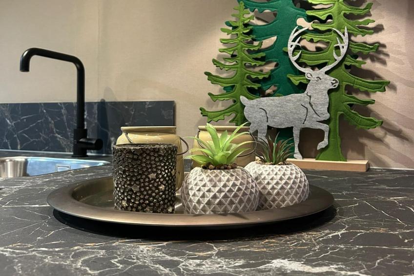 Wellnesslodge Merel 2p - foto 33