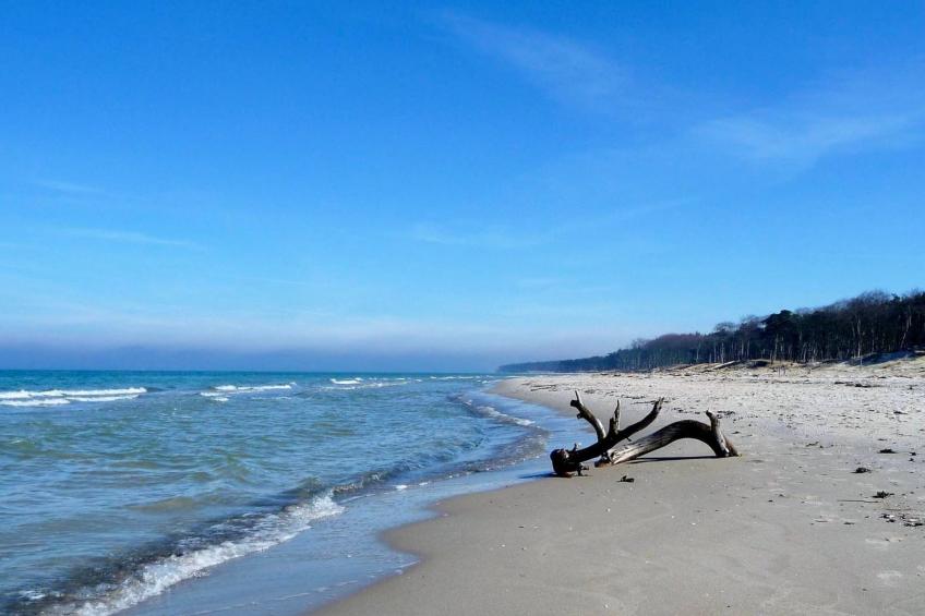 Wiesenblick 5 - foto 24