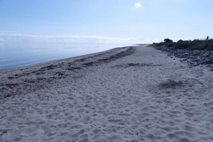 Urlaub am Meer im Ferienhaus mit Sauna - foto 10