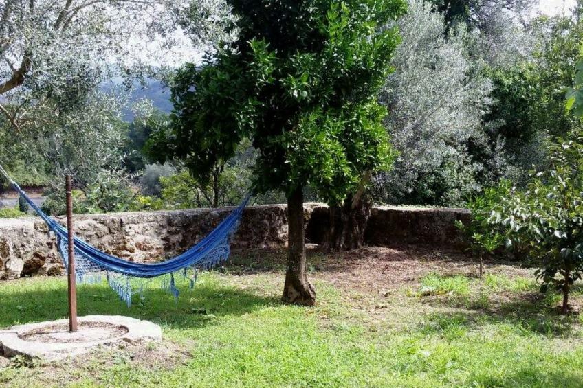 Altes Kellerhaus in Gerês - foto 51