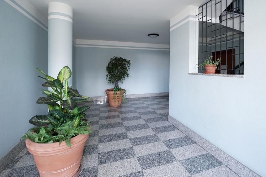 Grandmother's house - foto 25