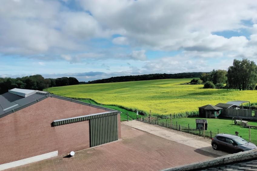 Logeren bij Laura - foto 28