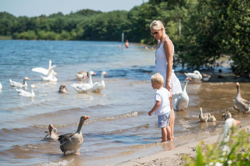 Sunparks Kempense Meren - foto 14