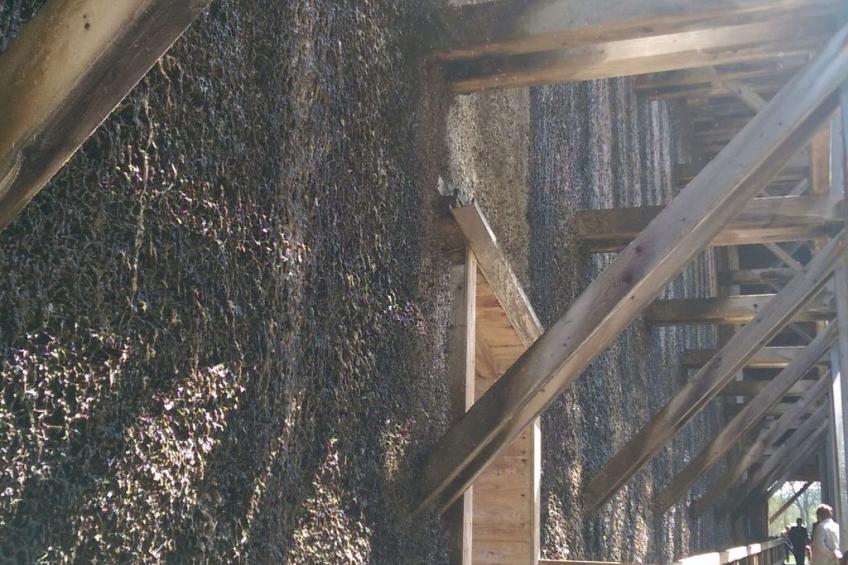 Apartment Gala, ruhige Lage, stadtnah - foto 28