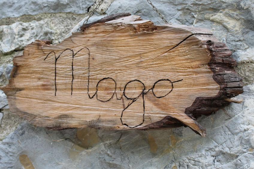 Mago in Ameglia - foto 43