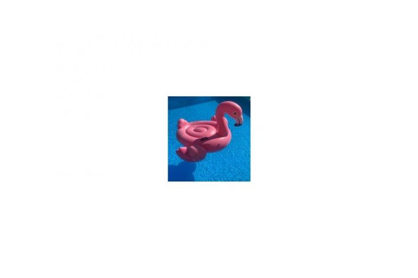 588951 - foto 28