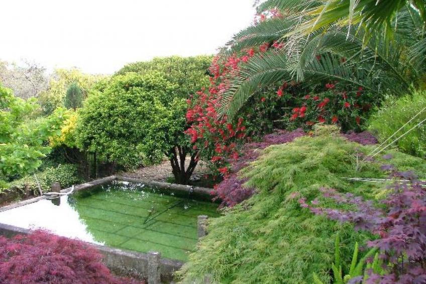 Finca "Quinta do Bento Novo" - foto 22