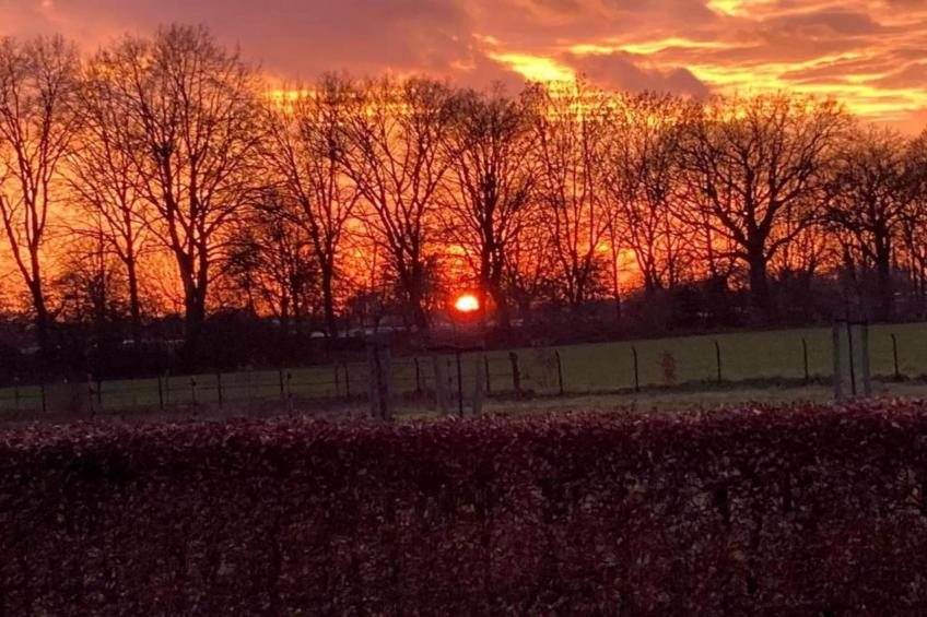 Vakantie bij Meeussen - Molendal 2 - foto 31