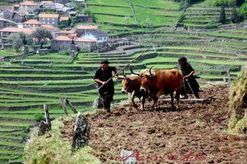 Soajo - Die schönste Gegend von Gerês 2 - foto 12