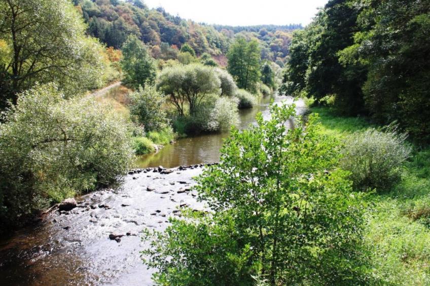 mit Blick auf das Wasser - foto 21