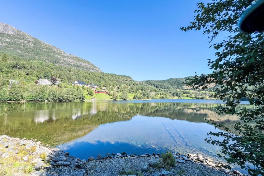 Samlen Vasselgård - foto 28