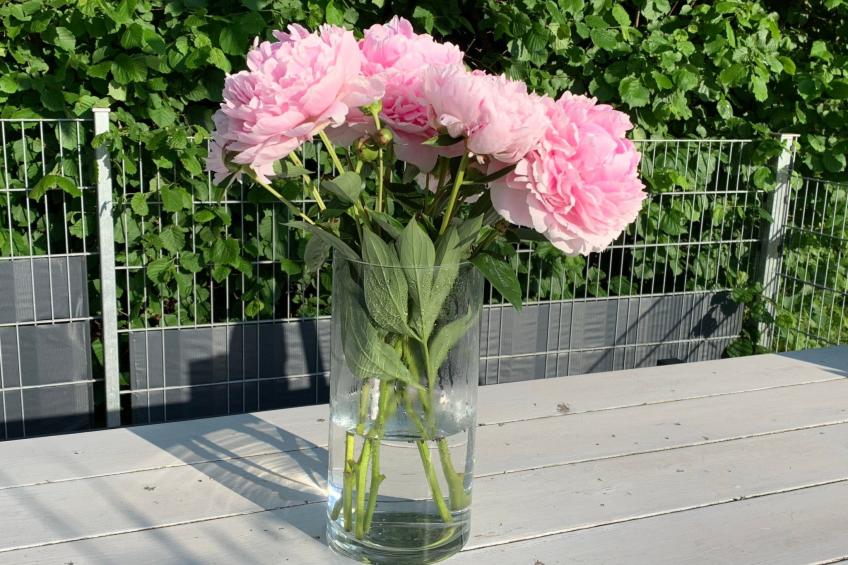 FeWo 5 Jahreszeiten - foto 31