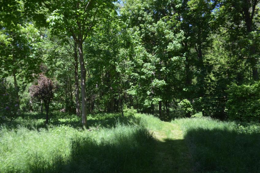 Gästehaus Kühne Fewo 1 OG - foto 13