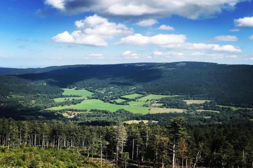 Bayerischer Wald - foto 19