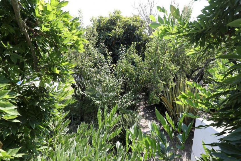 Historisches Haus in der Nähe des historischen Dorfes von Óbidos - foto 42