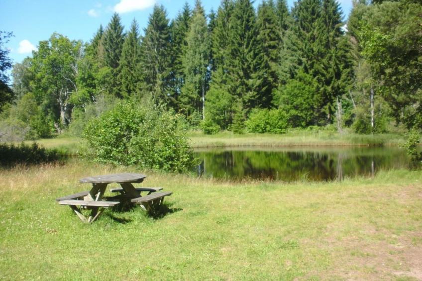 Haus am Waldrand - foto 16