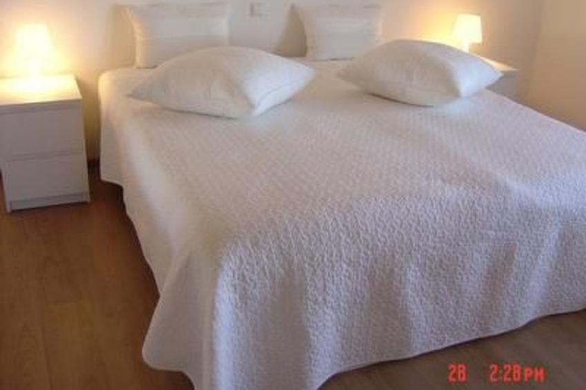 direkt am Rhein - foto 3