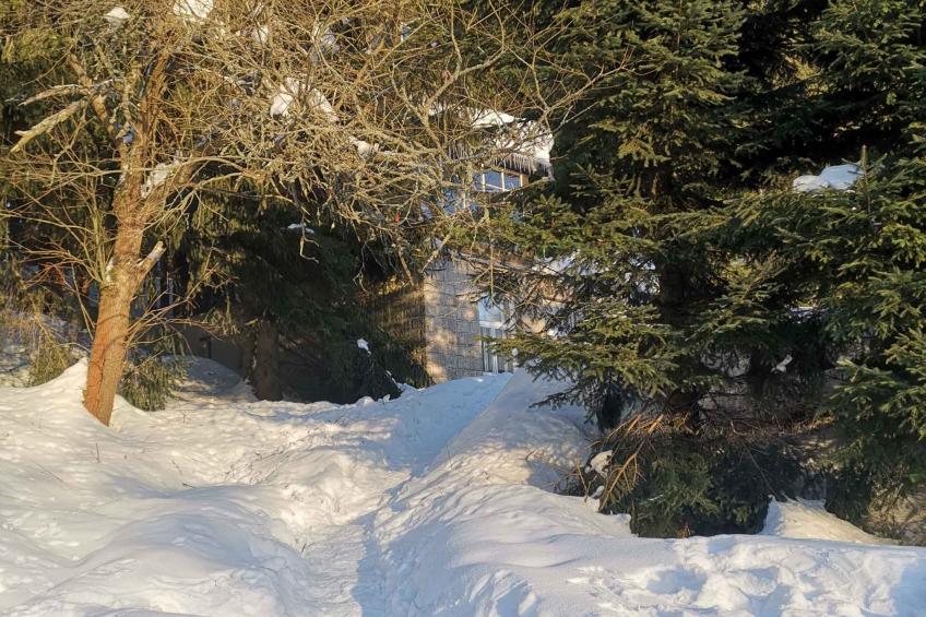 Vakantiehuis bij het bos met veranda - VW-XCJT - foto 16
