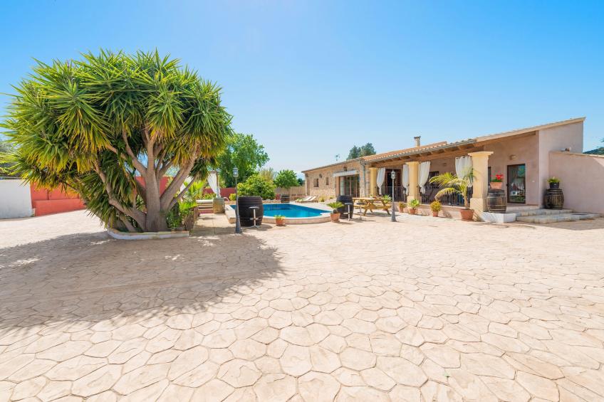 Es Blanquer De Na Fani - foto 24