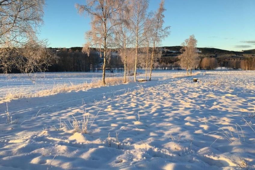 Haus Gård Solhag - foto 34